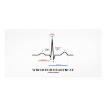 Wired For Heartbeat (ECG/EKG Sinus Rhythm)