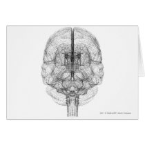 Wireframe of the brain cards