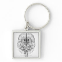 Wireframe of the brain keychain