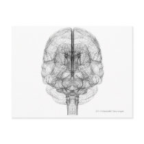 Wireframe of the brain postcard