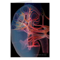 Wireframe of the inside of a kidney greeting card