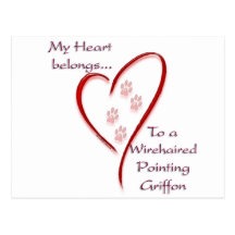 Wirehaired Pointing Griffon Heart Belongs Postcard