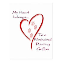 Wirehaired Pointing Griffon Heart Belongs postcards