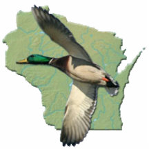 Wisconsin duck photo cut outs