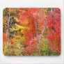 Wisconsin Fall Colours Mouse Pads