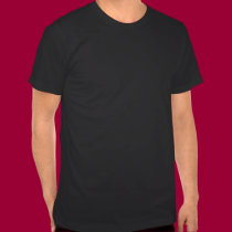 Wisconsin Protest T-Shirt t-shirts