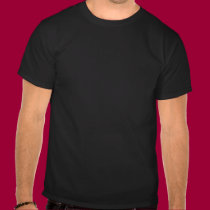 Wisconsin Protest T-Shirt t-shirts