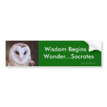 Wisdom bumper stickers