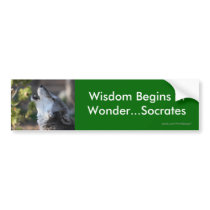 Wisdom Bumper Stickers