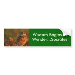 wisdom bumper stickers
