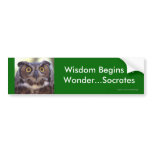 Wisdom bumper stickers