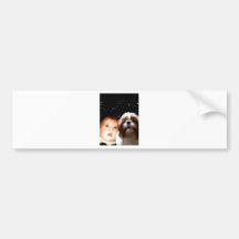 Wisdom in awe_PAINTING.jpg Bumper Sticker