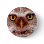 WISDOM OWL buttons
