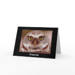 WISDOM OWL cards