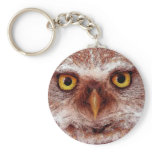 WISDOM OWL keychains