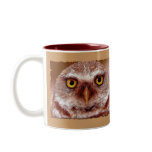 WISDOM OWL mugs