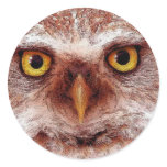 WISDOM OWL stickers
