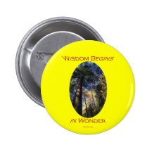 wisdom pinback buttons