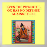 wise chinese proverb poster