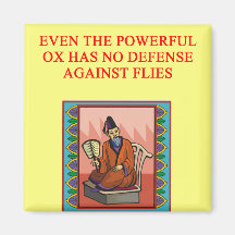 wise chinese proverb refrigerator magnets
