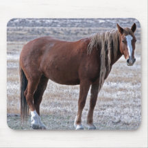 Wise Mustang Mousepad