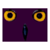 Wise Old Owl Eyes Poster posters