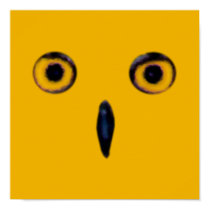 Wise Old Owl Eyes posters
