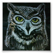 Wise Owl Photo Art