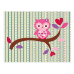 Wise Owl Post Cards
