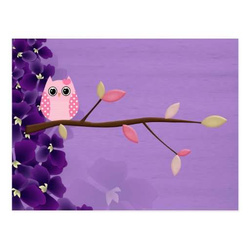 Wise Owl Post Cards