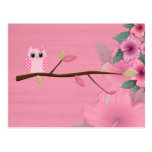 Wise Owl Post Cards