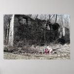 Wiser Time Canvas posters