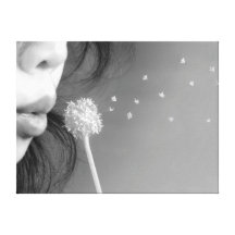 Wish Canvas Print
