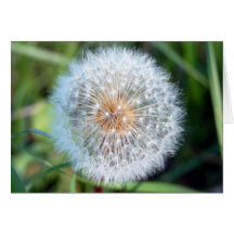 Wish Card