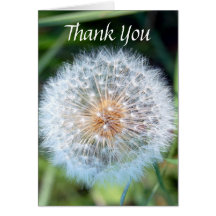 Wish Thank You Note Greeting Card