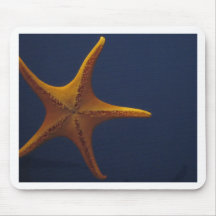 Wish Upon a Starfish Mousepad