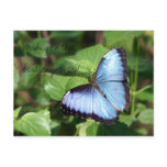 Wish you the best day ever! postcards
