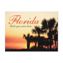 Wish you were here - Florida palm tree sunset Postcards