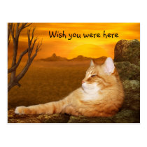 Wish you were here kitty postcards