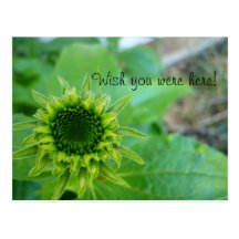 Wish you were here! postcard