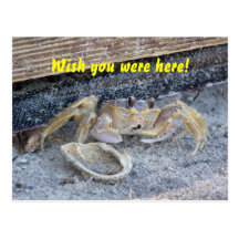 "Wish you were here" Postcards