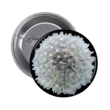 Wishes are Dandy Button