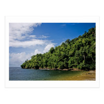wishes ashore postcards
