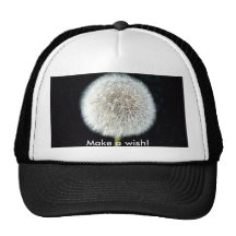 Wishes Mesh Hats