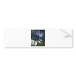 WISHING AT STARLIGHT POND BUMPER STICKER