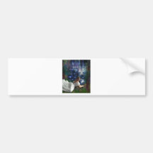 WISHING AT STARLIGHT POND BUMPER STICKER