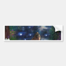 WISHING AT STARLIGHT POND BUMPER STICKERS