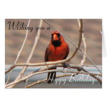 Wishing you a, Happy Birthday! Greeting Cards