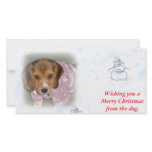 Wishing you a Merry Christmas from the dog. photo cards