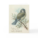 Wishing You A Merry Christmas, Vintage Blue Bird Greeting Cards